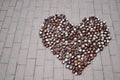 ÃÂ¡hestnuts are laid out in the form of heart Royalty Free Stock Photo